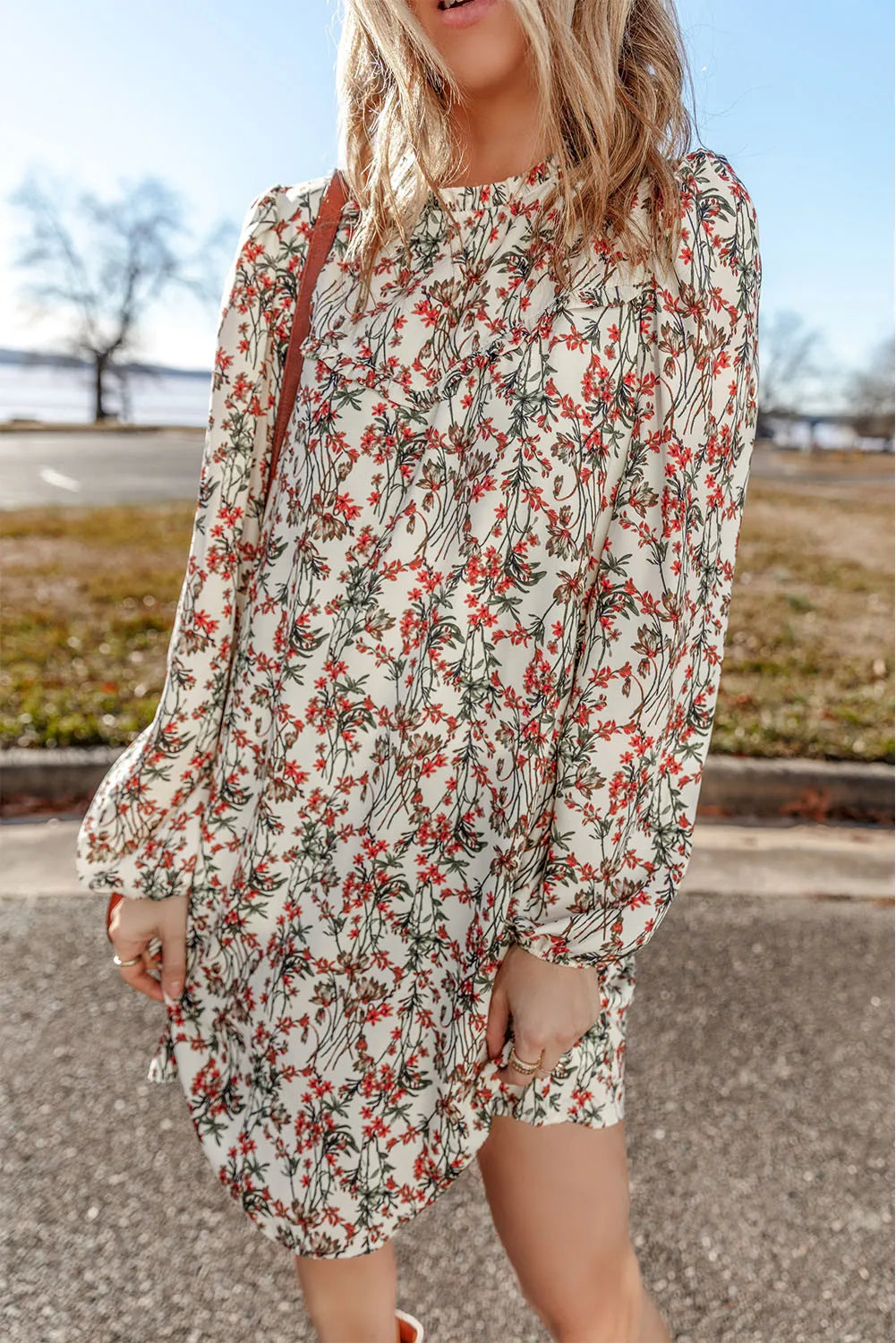 Floral Round Neck Long Sleeve Mini Dress - Floral / S